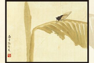 ki baishi